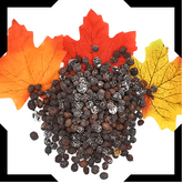 Hawthorn Berry Pack
